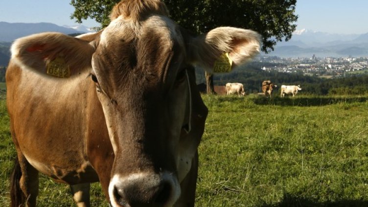 Снимка: архив, Reuters