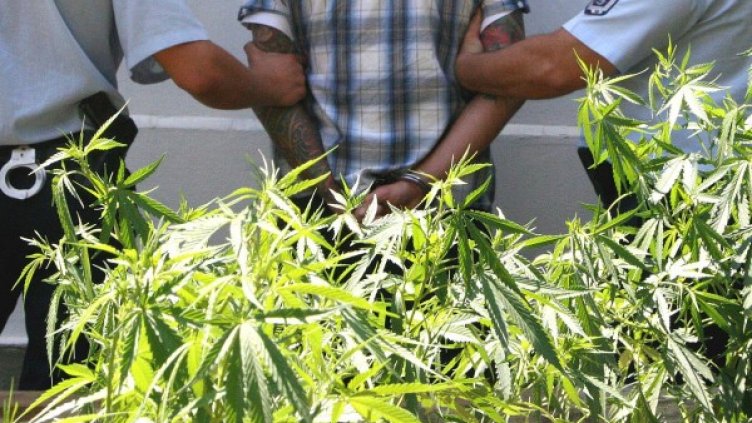 Снимка: Булфото, архив