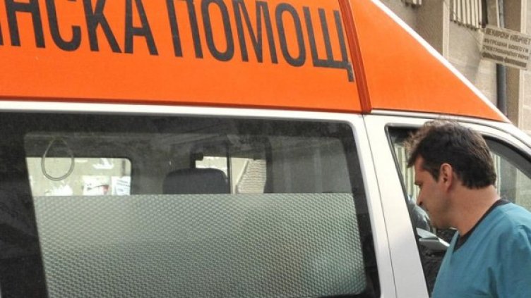 Снимка: БулФото-архив