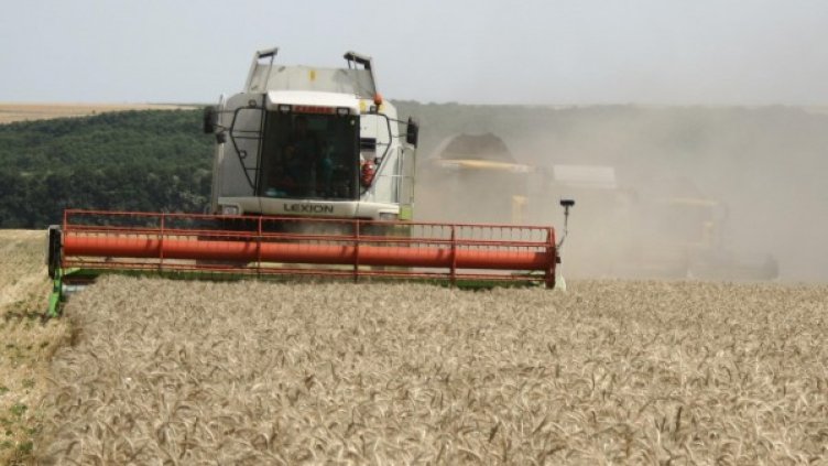 Снимка: архив, Булфото