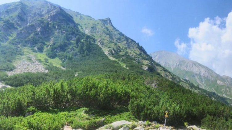 Снимка: архив, Булфото