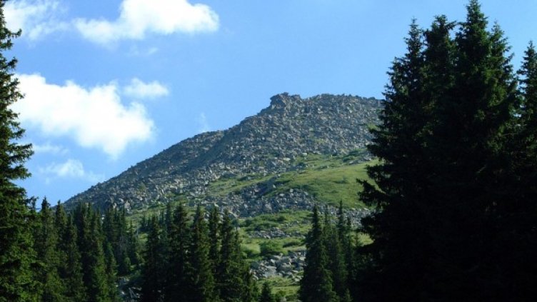 Снимка: Булфото, архив