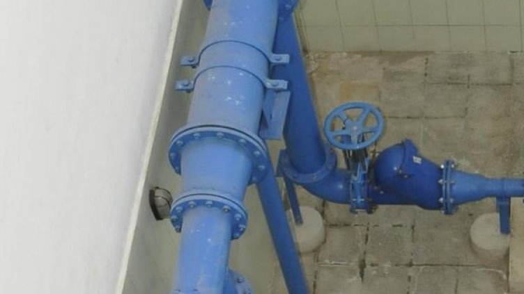 Снимка: Булфото, архив