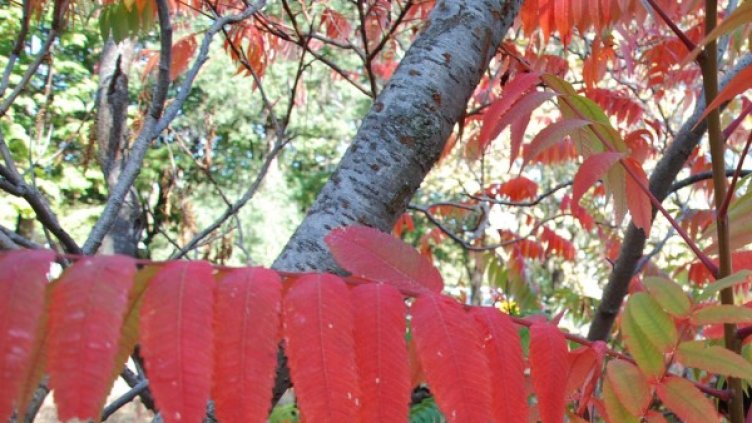 Снимка: Булфото, архив