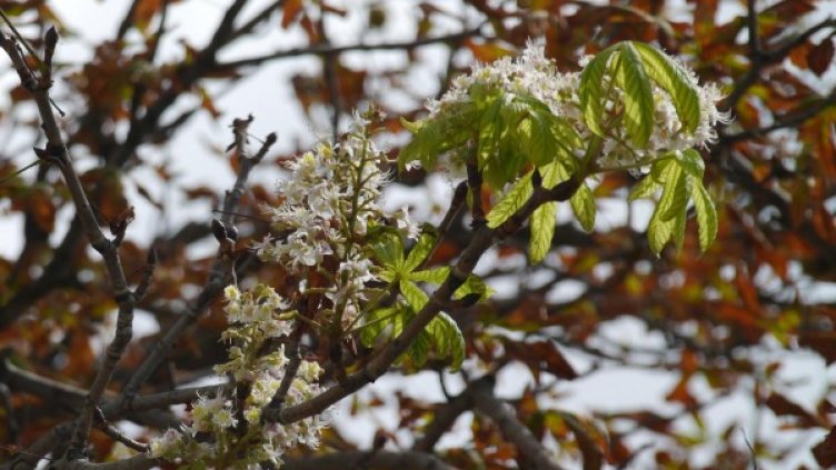 Снимка: Булфото, архив