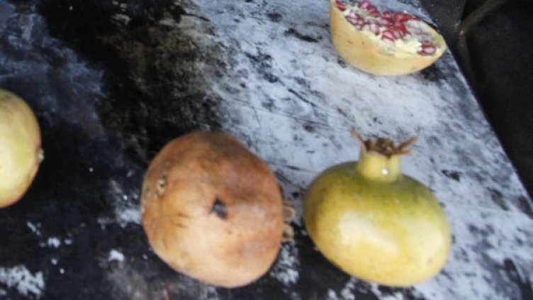 Снимка: Ройтерс, архив