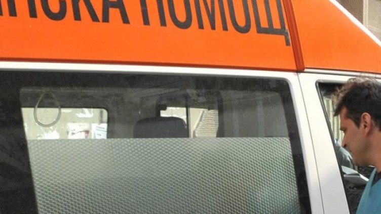 Снимка: БулФото-архив