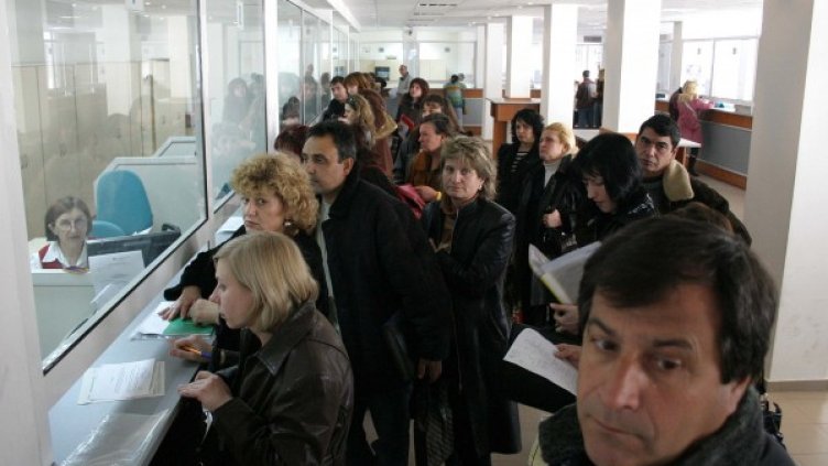 Опашки в НАП-Варна. Снимка: Impact Press Group