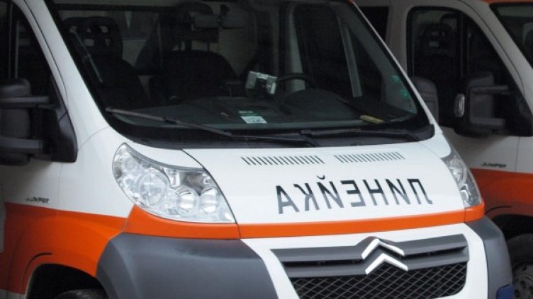 Снимка: архив Булфото