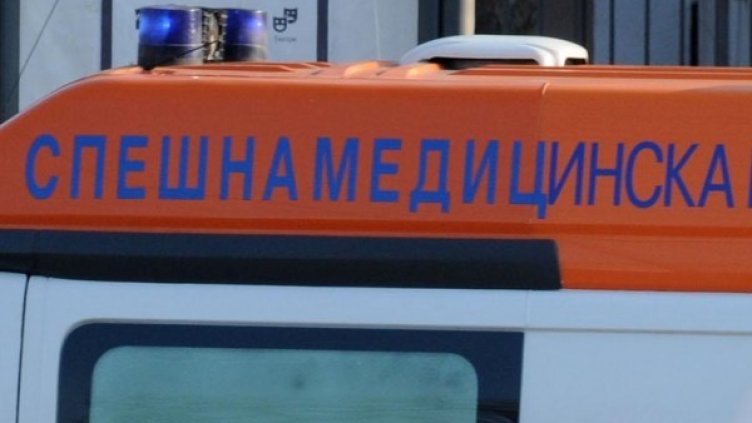 Снимка: Булфото, архив