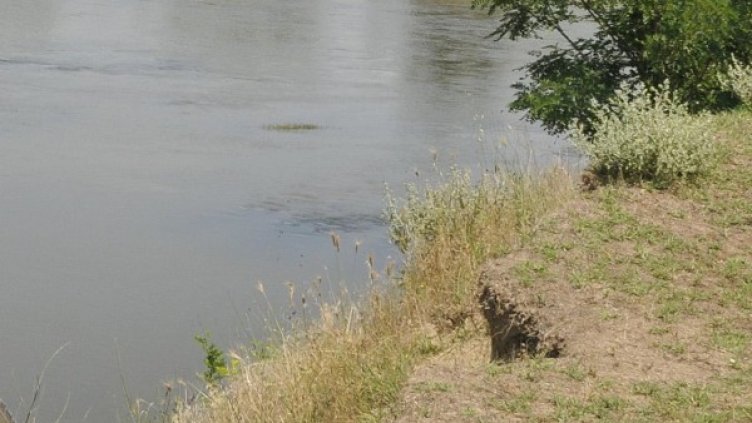 Снимка: архив, Булфото