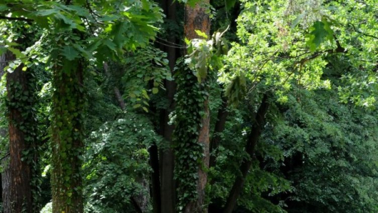 Снимка: архив, Булфото