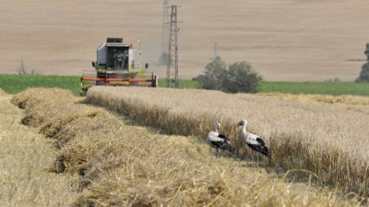 Снимка: архив, Булфото