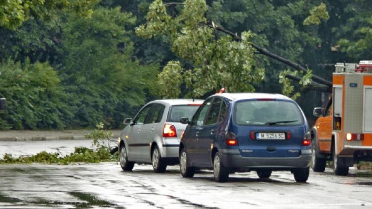 Снимка: архив, Булфото