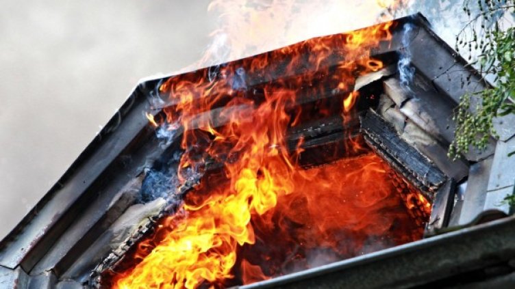 Снимка: Булфото, архив