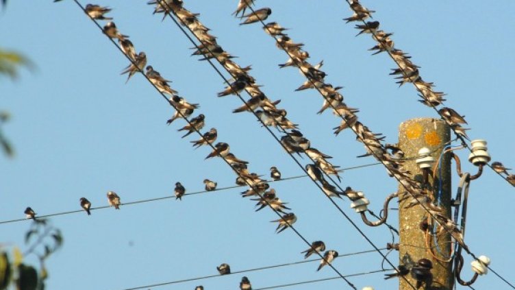 Снимка: архив, Булфото