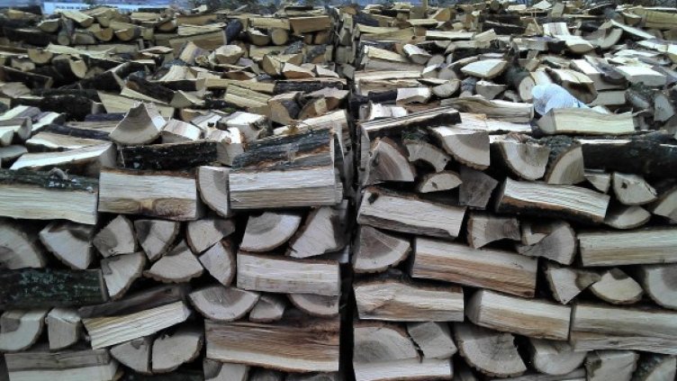 Дърва за огрев. Снимка: Булфото
