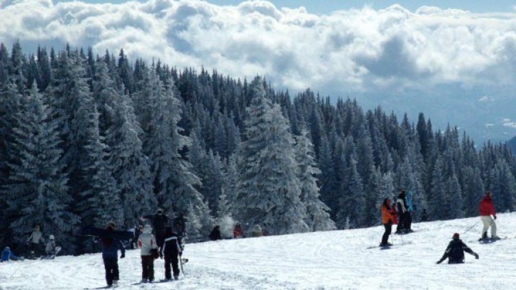 Снимка: архив, Булфото