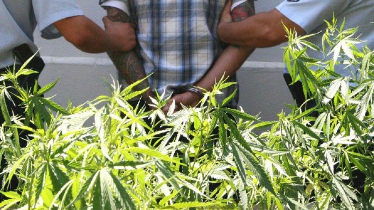 Снимка: Булфото, архив