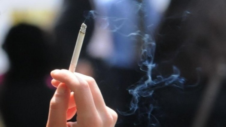 Снимка: Булфото