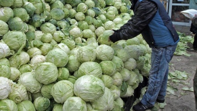 Снимка: Булфото, архив