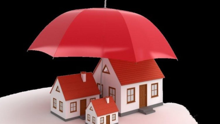 Снимка: архив