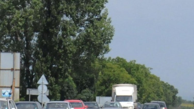 Снимка:  Булфото