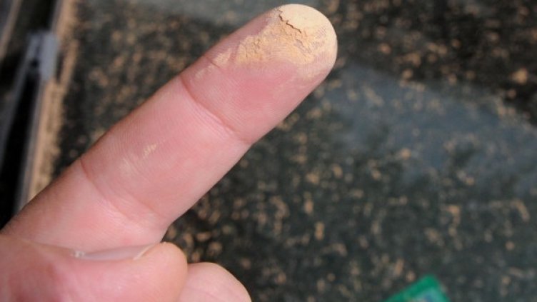 Снимка: архив, Булфото