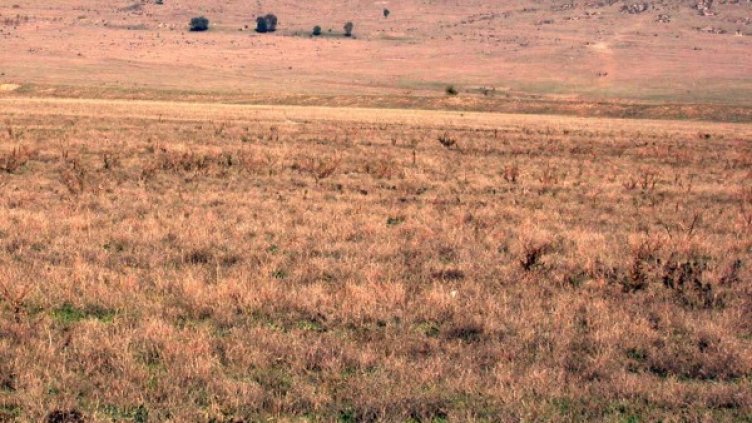 Архив: Булфото