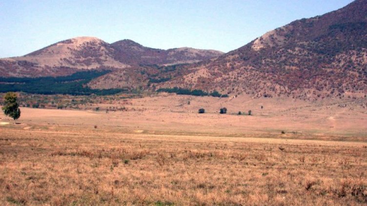 Архив: Булфото