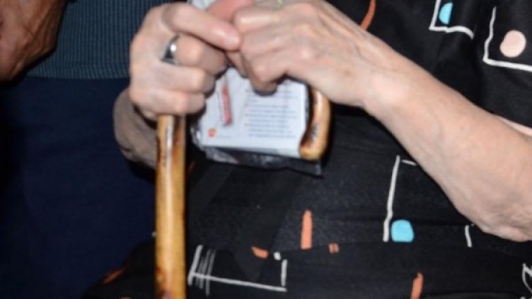 Снимка: БулФото-архив