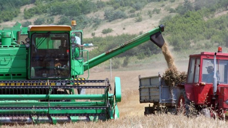 Снимка: архив, Булфото