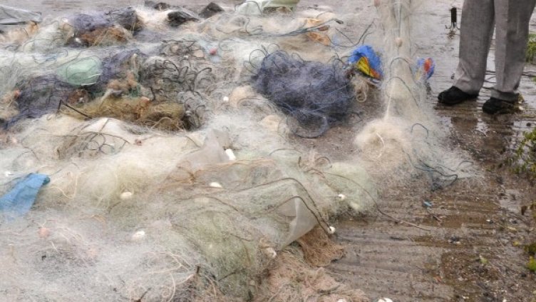 Снимка: Булфото, архив