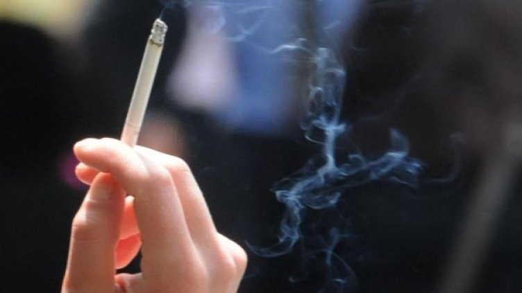 Снимка: архив, Булфото