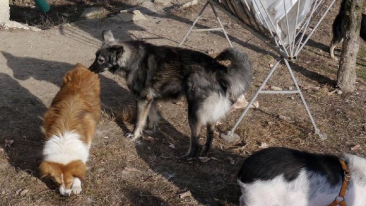 Снимка: Булфото, архив