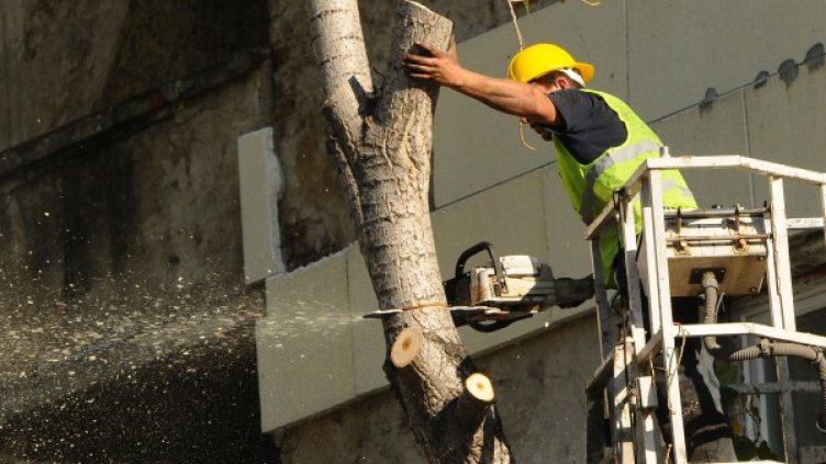 Акцията вече е в ход. Снимка: Булфото