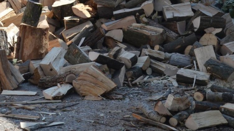 Снимка: Булфото