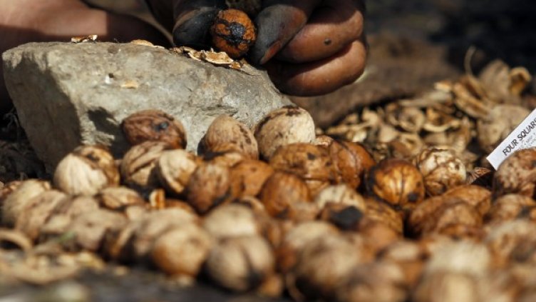 Снимка: Reuters