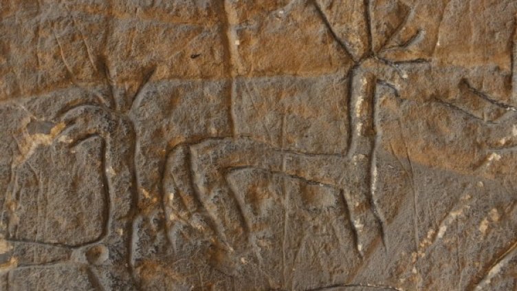 Скални рисунки. Снимка: архив