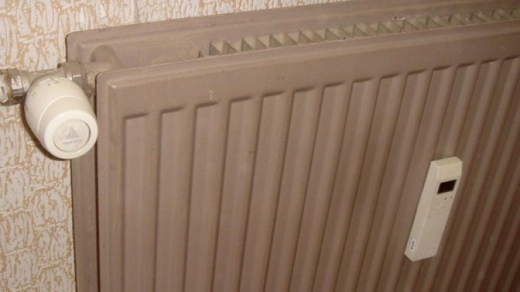 Снимка: Булфото