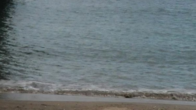 Снимка: Булфото