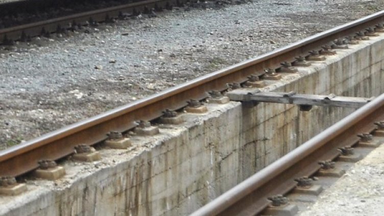 Снимка: Булфото