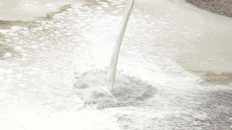 Снимка: Булфото