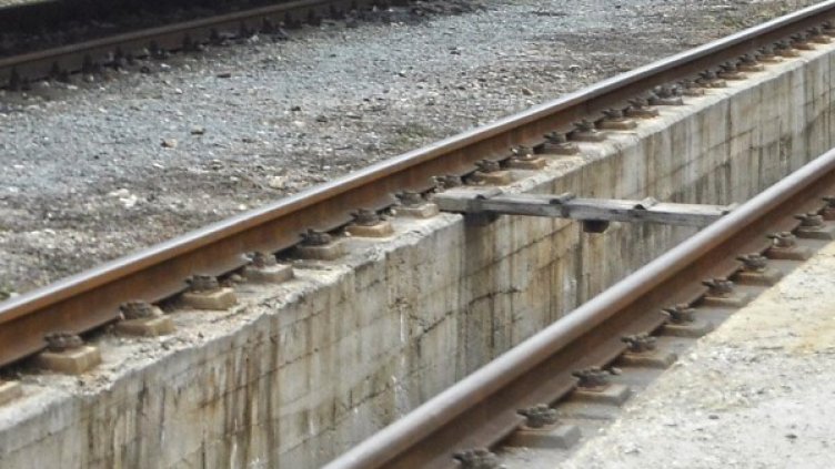 Снимка: Булфото