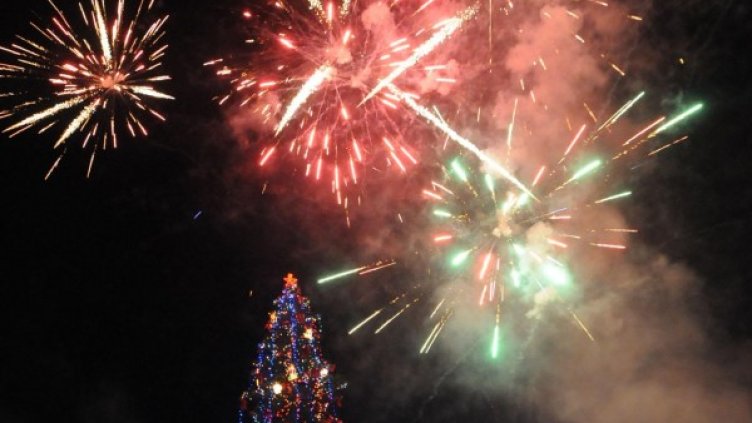 Снимка: БулФото-архив