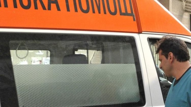 Снимка: БулФото-архив