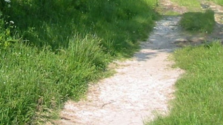 Снимка: БулФото-архив