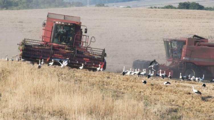 Снимка: архив Булфото