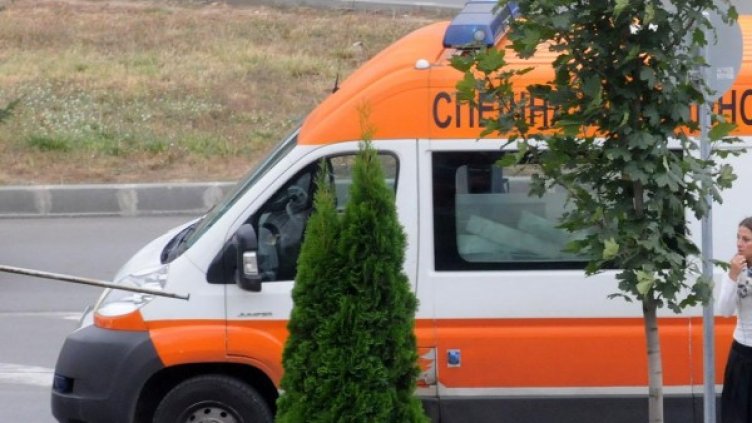 Снимка: Булфото, архив