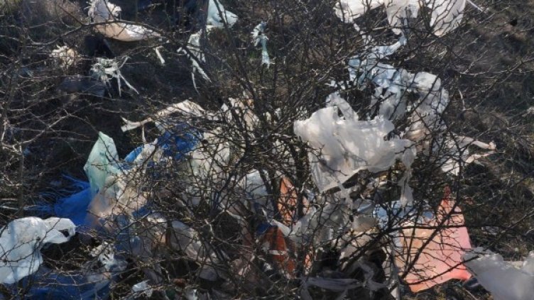 Снимка: архив, Булфото